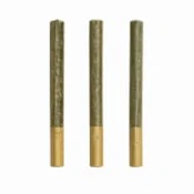 ORGANIC LILLOOET GOLD STRAIGHT CUT PRE-ROLLS LTO - 1.5