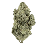 Strawberry Cheezequake 7g Dried Flower