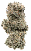 TROPICANNA - 7g