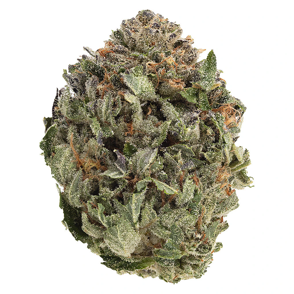 1964 - 1964 - Comatose - Indica - 1g Main Image