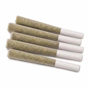 SUNGRIA PRE-ROLLS LTO - 2.5