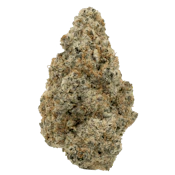 Orangutan TT's (3.5g) - Stoned.