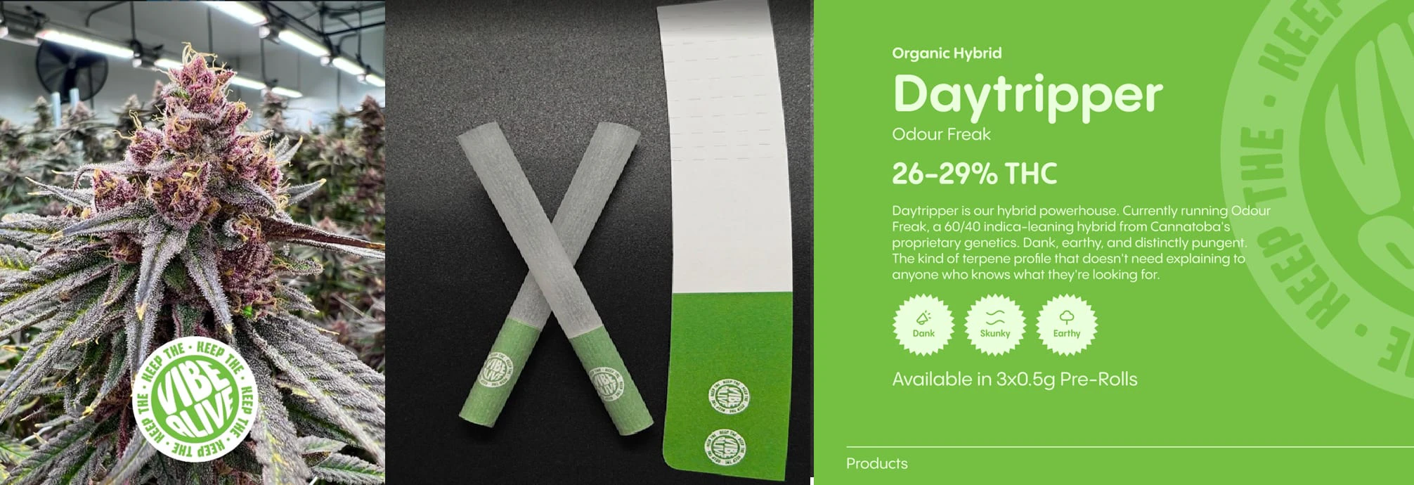 Keep the Vibe Alive - Organic Daydreamer (Rotating Strain) 3 x 0.5g Pre-Rolls by Vibe Alive Main Image
