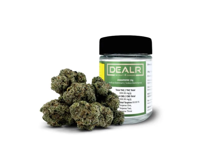 DEALR - DEALR | ZHAMPAYNE | 14g Main Image