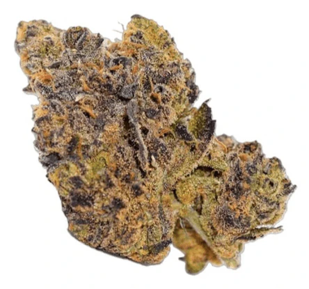 Always Hi - Always Hi | Purple Marker Flower | 7 g Main Image