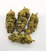 Ghost OG (3.5g) - Elevator
