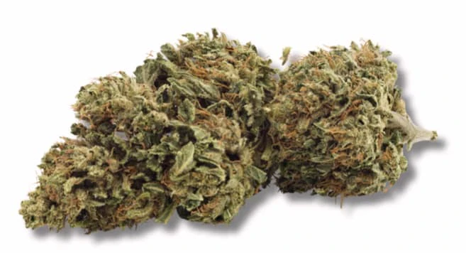 GROWN HERE FARMS - DAY DREAMIN' INFUSED CBD FLOWER - 7 Main Image
