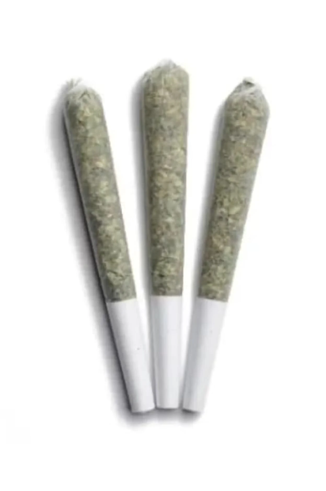 Papa Joe's Organics - ROMULAN PRE ROLLS - 1.5 Main Image