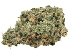 3SAINTS- GRAPE PIE 3.5G