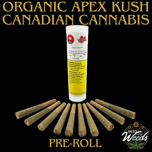 Canadian Cannabis - Organic Apex Kush 10 x 0.5g Pre-Rolls Main Image