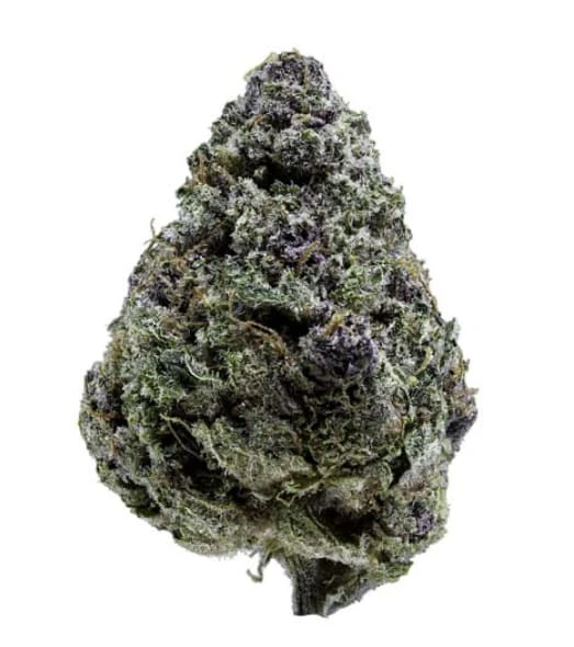 Sweetgrass Organic Cannabis - Triangle Queen Petites - 3.5g Main Image