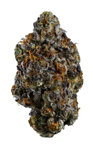Coast Mountain Cannabis  - BC Oragnic Lemon Cherry Pie  - 3.5g Main Image