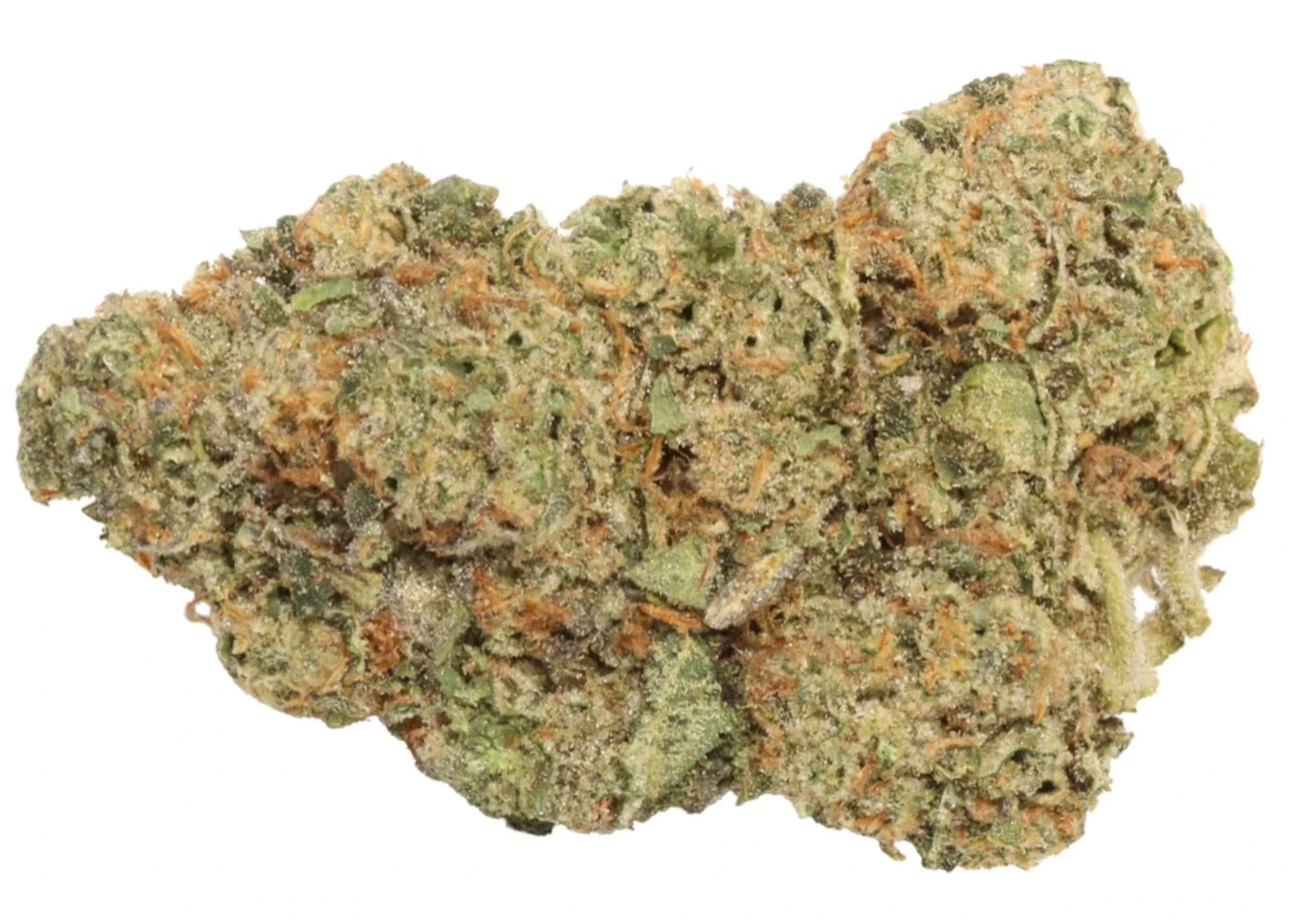 CARMEL - M.TAI X JUNGLE CAKE FLOWER (LTO) Main Image
