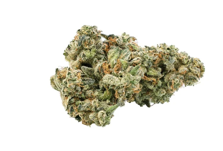 Trailblazer - Ultra Bubble - 14g Main Image