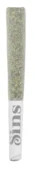 GARY SATAN PRE-ROLL - 1