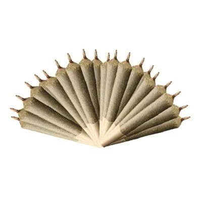 Violet Tourist - Laughy-Attacky (Rotating Strain) 30 x 0.5g Pre-Rolls by Violet Tourist Main Image