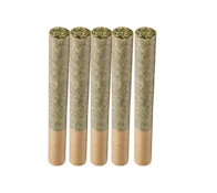 ORGANIC GELATTI LTO - 5 X 0.5 GRAMS