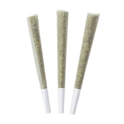 BLUEBERRY YUM YUM PRE-ROLLS - 3X1G