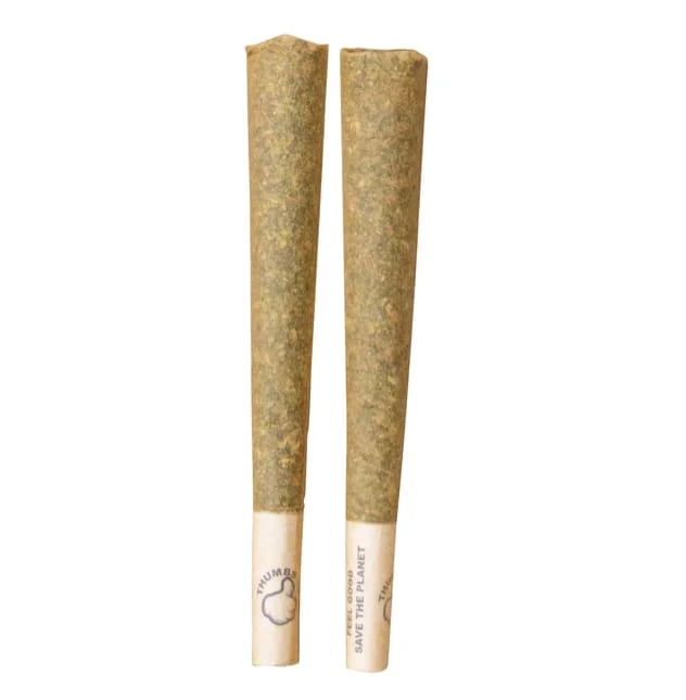 Thumbs Up - HYBRID PRE-ROLLS - 2X1G Main Image