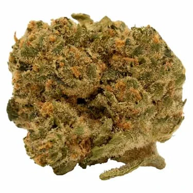 Canadian Cannabis - Organic Honey Crisp 14g Dried Flower Main Image