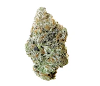 CHERRY GAS - 14g