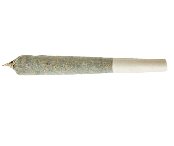 XPLOR Level X - Watermelon G-Bear Distillate Infused Pre-Roll | 1x1g Main Image