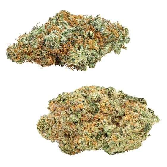Big Bag O' Buds - COMBOZ - AMNESIA OG & TROPICANNA TANGIE LTO - 28 Main Image
