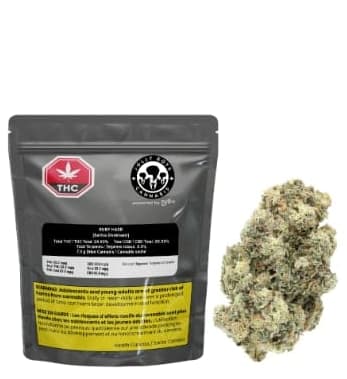 RUBY HAZE SMALLS LTO - 28