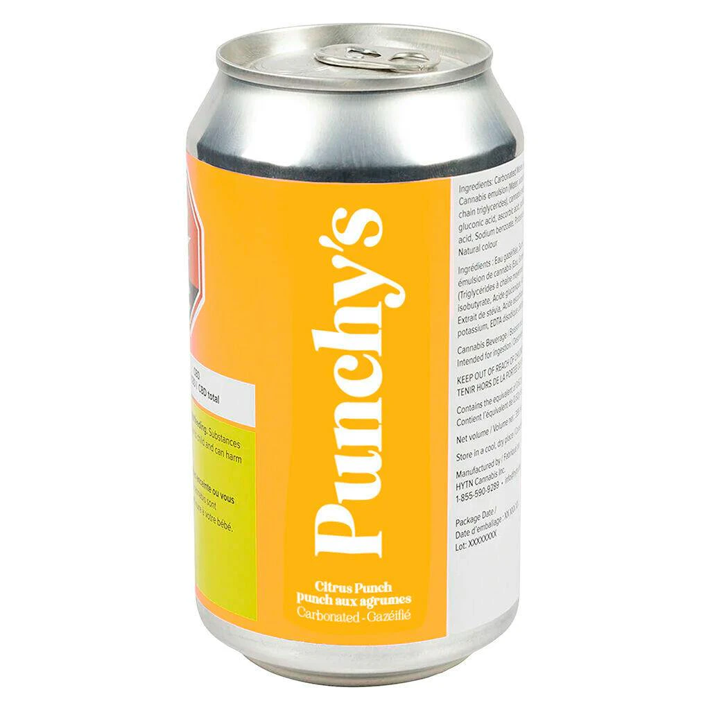 Punchys - Citrus Punch 355ml Beverage Main Image