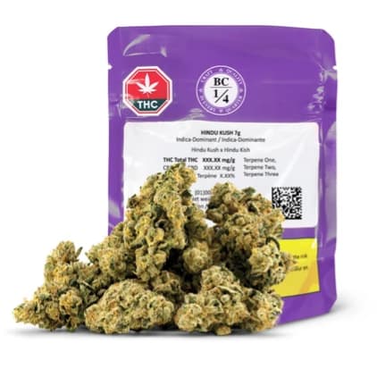 HINDU KUSH LTO - 7