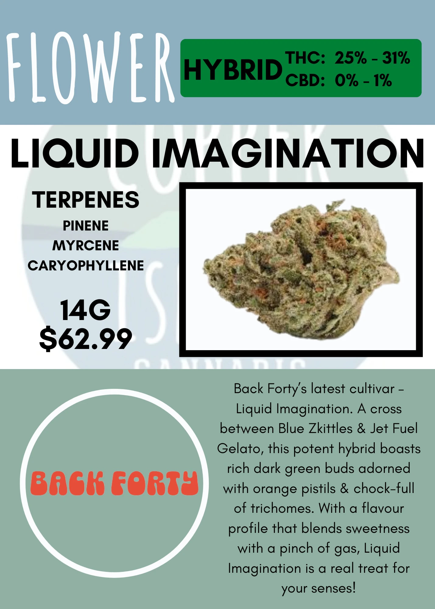 Back Forty - 14G - BACK FORTY - LIQUID IMAGINATION Main Image