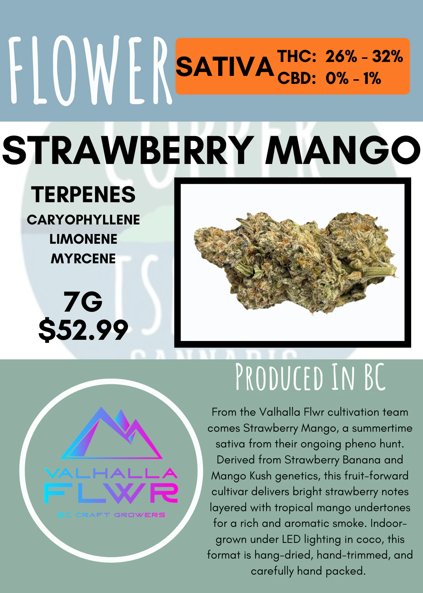 VALHALLA FLWR - 7G - VALHALLA FLWR - STRAWBERRY MANGO Main Image