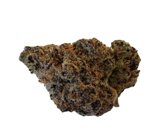 BOLD - SUPER LEMON CHERRY - 7g Main Image