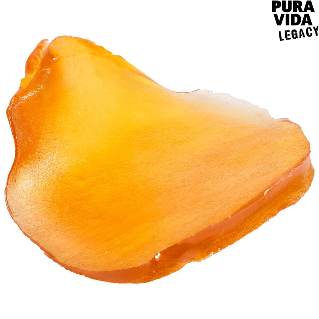 Pura Vida - Pura Vida | Fatso Jumbo Slab Shatter | 1.2g Main Image