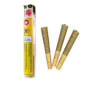 Cindy Jack 3 X 0.5G