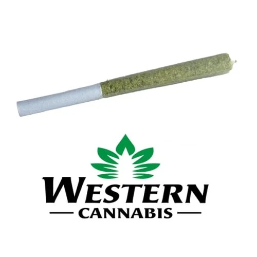 WESTERN CANNABIS - CARNIVAL APPLE 1X0.5G INFUSED Main Image