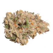Pineapple Bang Bang 7g Dried Flower by EastCann