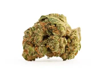 Holy Smokes - Holy Smokes Laughing Buddha 14g Dried Flower Main Image