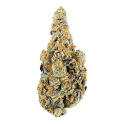 ZOMBIE BREATH - 14
