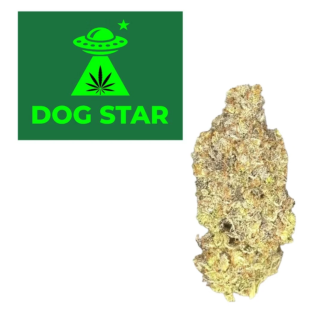 DOG STAR - Canal St. Runtz 7g Premium Dried Flower Main Image