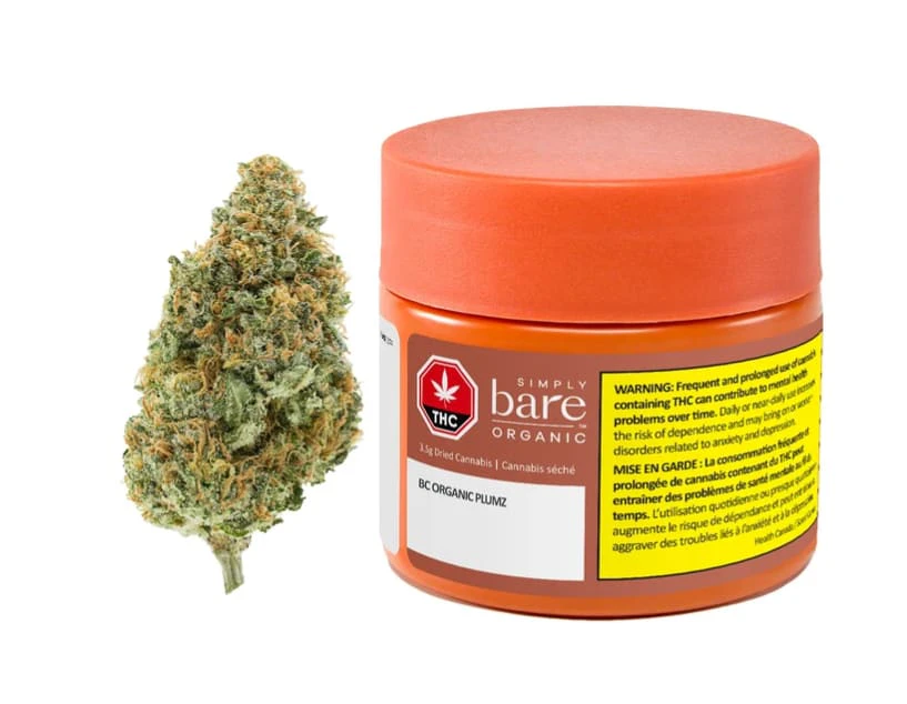 SIMPLY BARE ORGANICS - Simply Bare Organic | BC ORGANIC PLUMZ LTO | 3.5g Main Image