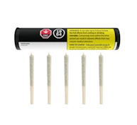 1964 | TROPICANNA PRE-ROLL | 5 x 0.5g