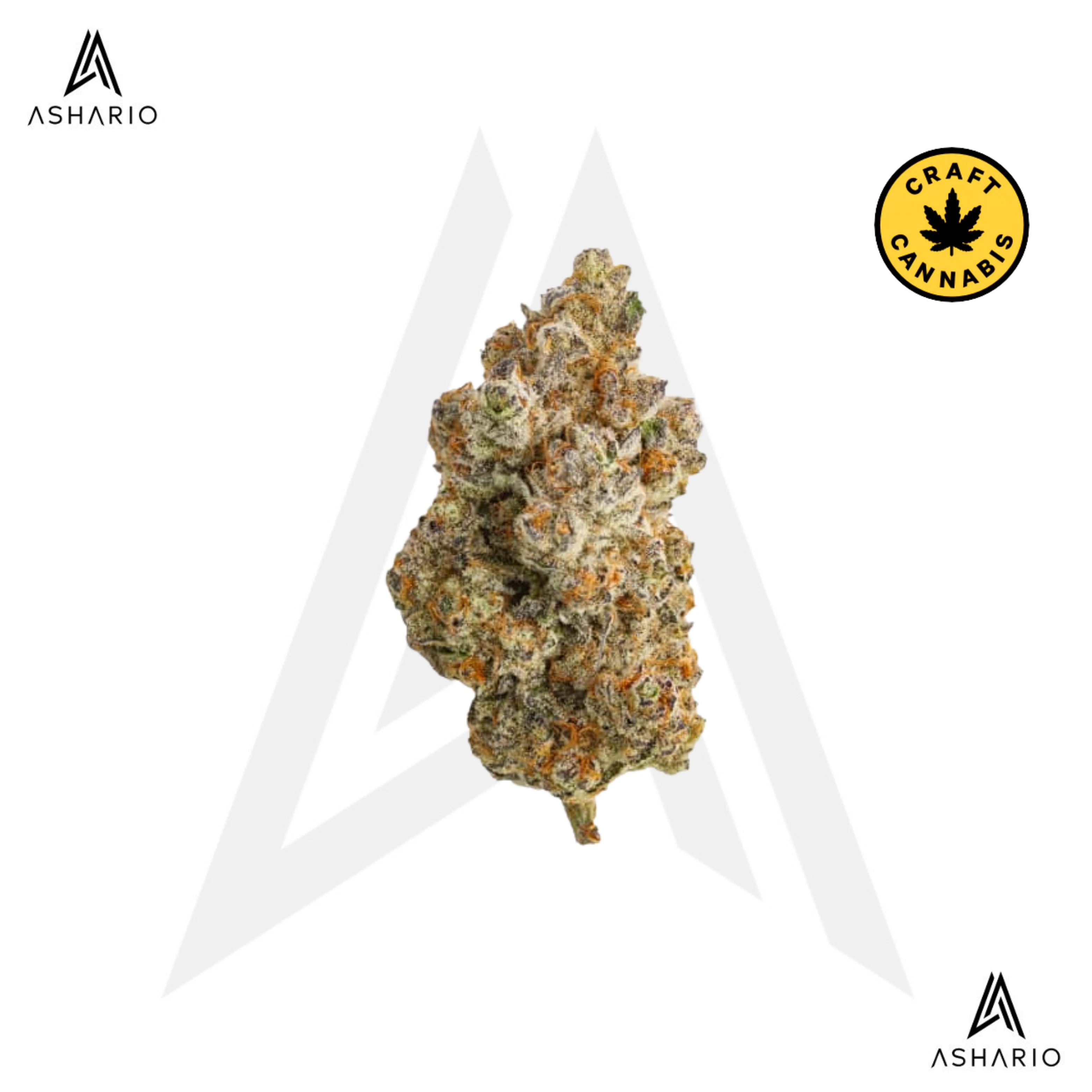 NORTHERN CANNA - Frost Monster | 14g Main Image