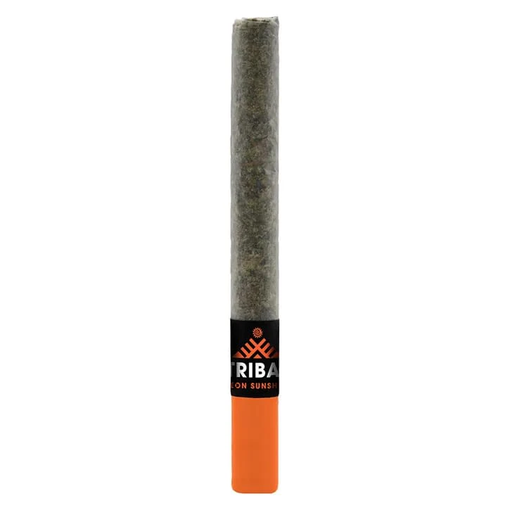 Tribal - Neon Sunshine Ceramic Tip Pre-Rolls 1 x 1g Main Image