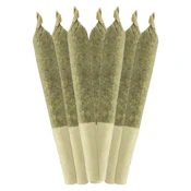 Key Lime Pie 7x0.5g