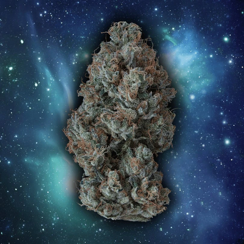 Supernova Farms Inc - 3 x 0.5g Main Image