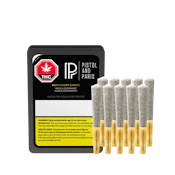 Pistol and Paris Permanent Chapo Pre-Rolls - 10 X 0.5g