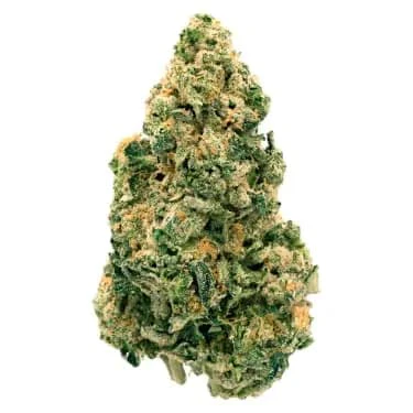 Pure Sunfarms - Day Tripper 7g Main Image
