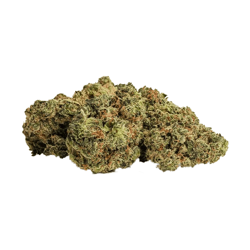 BOLD - Root Beer Float Indica 7g Main Image