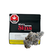 Sixty Seven Sins Mind Playa - 7g